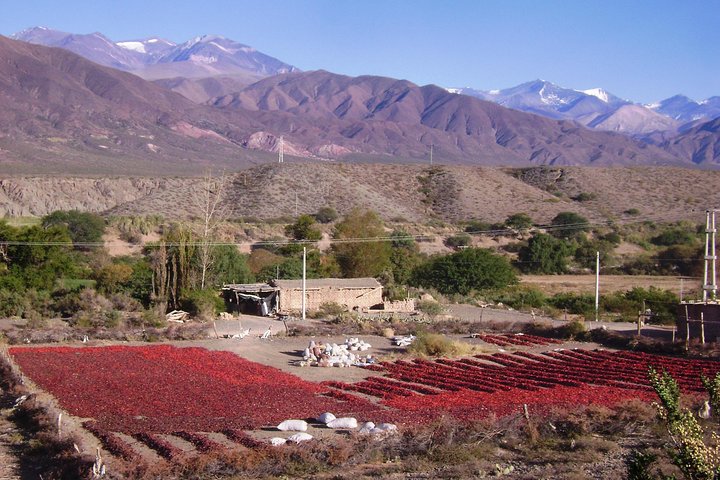 2-Day Tour to Algarrobal, Los Colorados and La Poma from Cachi
