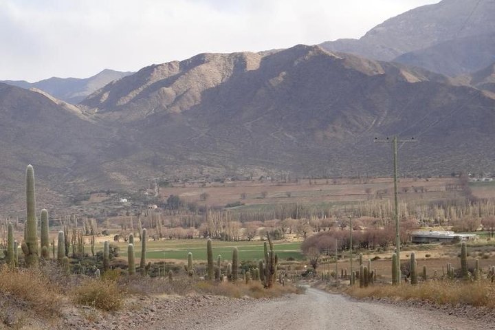 2-Day Tour to Algarrobal, Los Colorados and La Poma from Cachi
