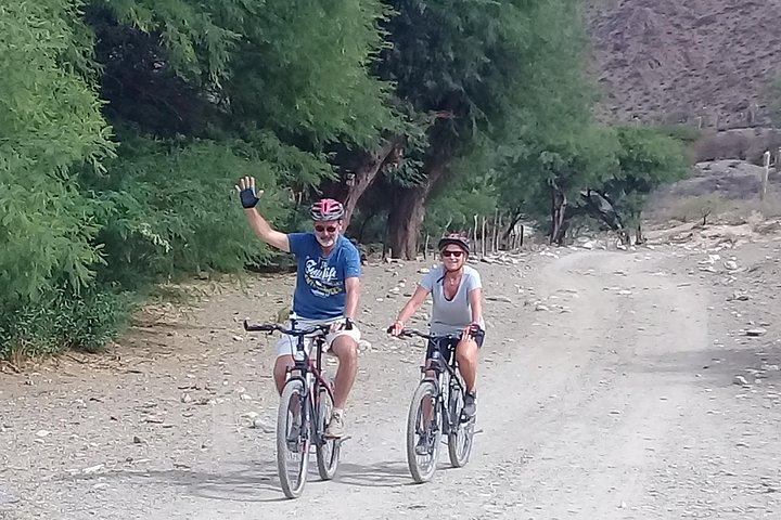 3-Day Tour of Cachi, Laguna Brealito and National Park Los Cardones