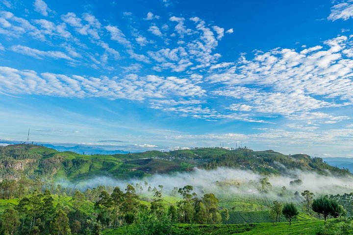 Lipton's Seat and Tea Factory,Trail Amidst Tea Plantation Day Tour