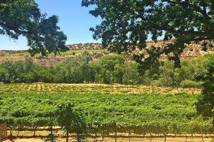 Bliss - Sedona’s Most Luxurious Wine Tour - Lunch Included!