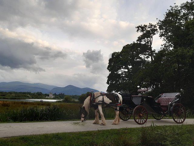 Killarney National Park Tour