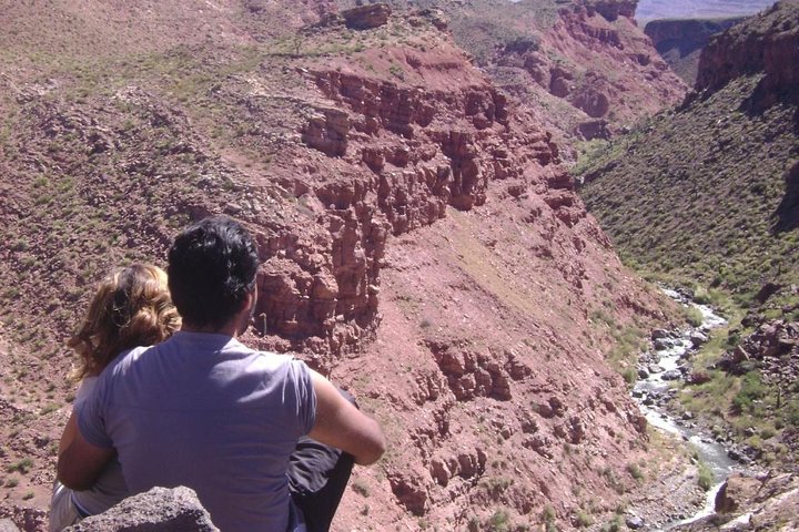 Descubre la Ruta 40 en Salta