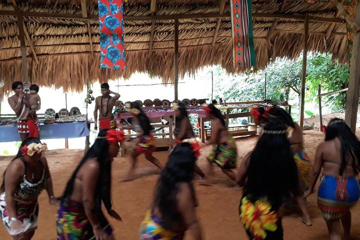 Panama City: Cultural Tour at Embera Indigenous Village