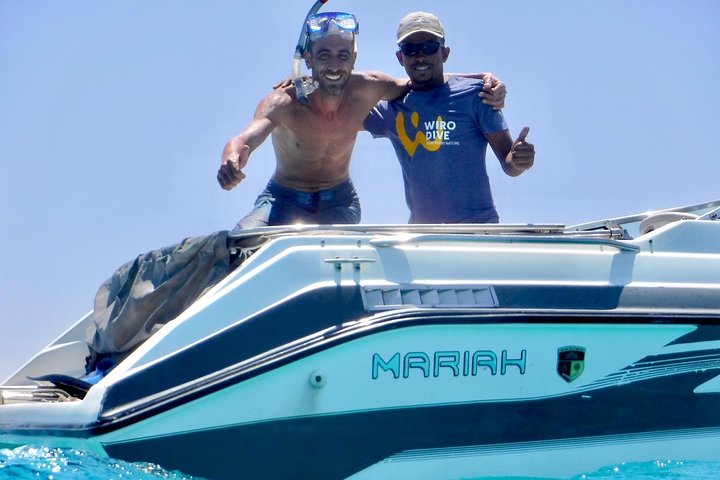 PRIVATE! | 4-hour Speed Boat Trip | Swim With Dolphins, Snorkeling & Island