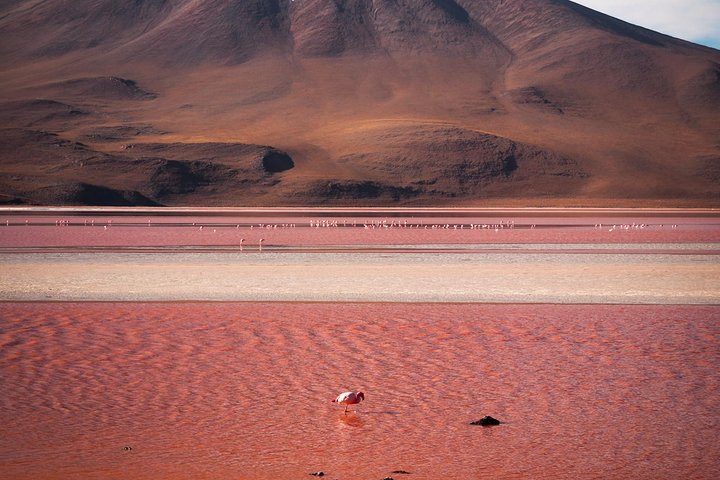 Uyuni Salt Flats Private 3 day tour (Palacio Sal 4* & Tayka 3*)