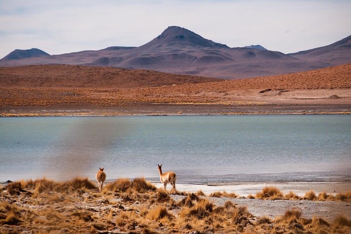 Uyuni Salt Flats Private 3 day tour (Palacio Sal 4* & Tayka 3*)