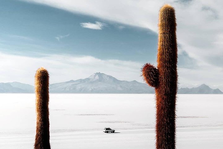 Uyuni Salt Flats Private 3 day tour (Palacio Sal 4* & Tayka 3*)