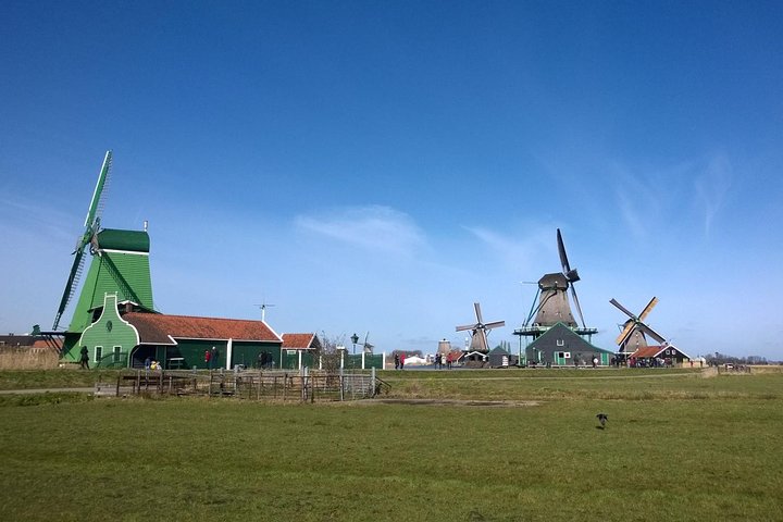 Zaanse Schans Windmills, Clogs and Dutch Cheese Small-Group Tour from Amsterdam