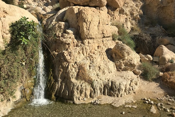 Masada, Ein Gedi & Dead Sea Tour from Jerusalem