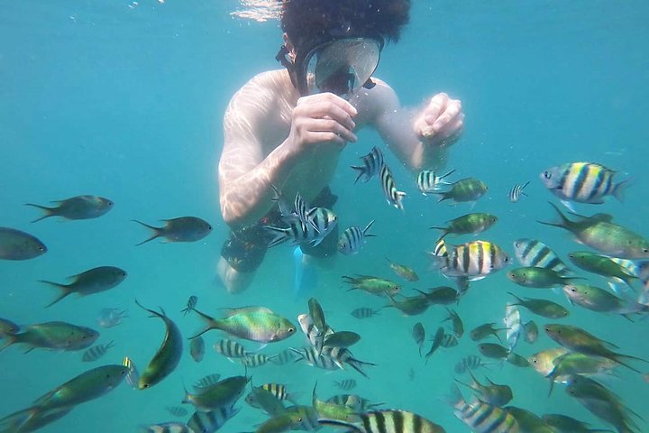 Bintan Snorkeling Tour