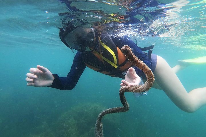 Bintan Snorkeling Tour