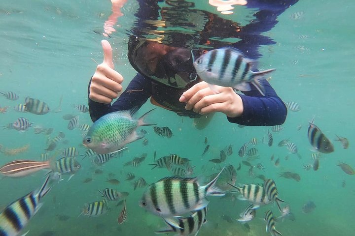 Bintan Snorkeling Tour