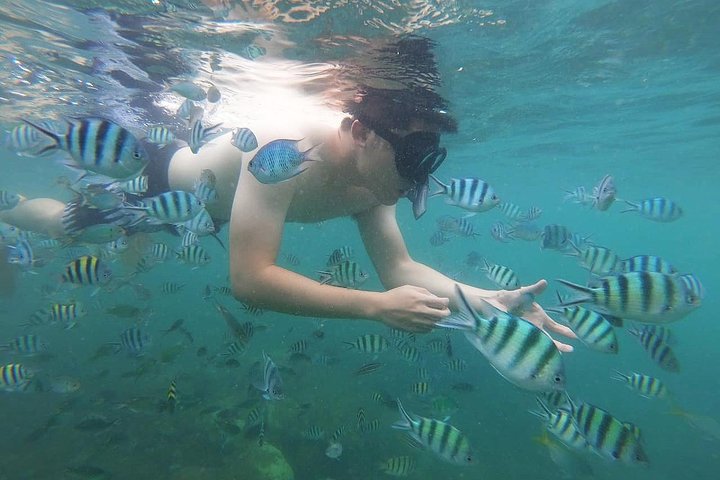 Bintan Snorkeling Tour