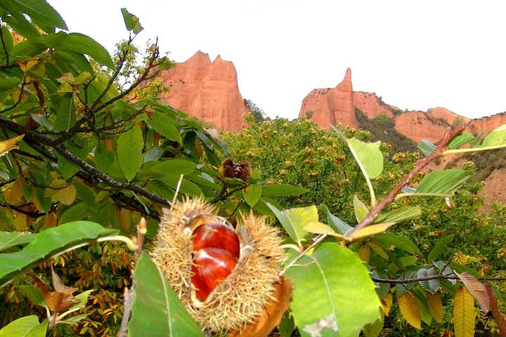 Marrows and Ponferrada from León