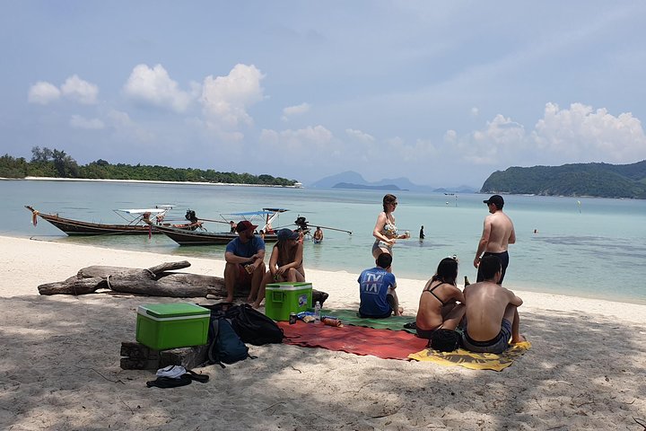 Half Day Pig Island and Snorkeling Experience