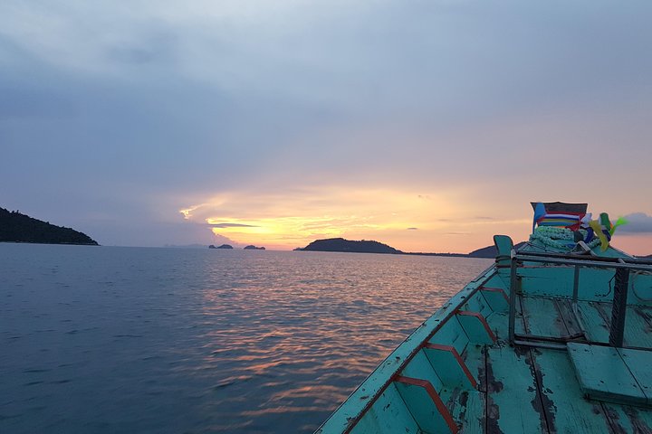 Half Day Pig Island and Snorkeling Experience
