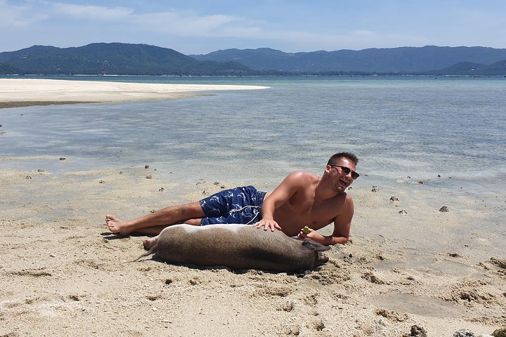 Half Day Pig Island and Snorkeling Experience