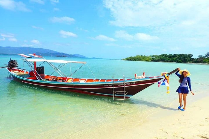 Half Day Pig Island and Snorkeling Experience
