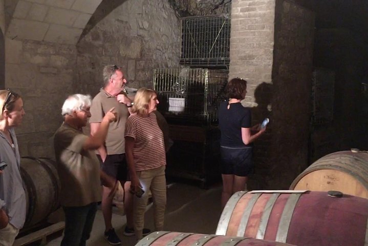 Vineyard cycle tours in and around Chinon, in the Loire Valley