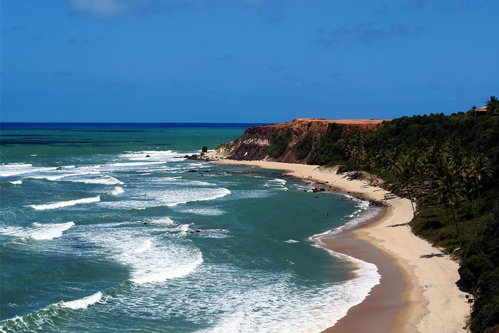 Sun and Fun at Pipa Beach: Day Tour from Natal