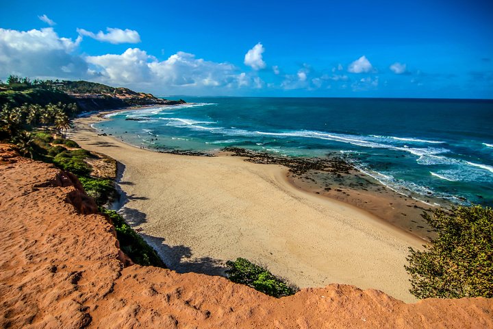 Sun and Fun at Pipa Beach: Day Tour from Natal