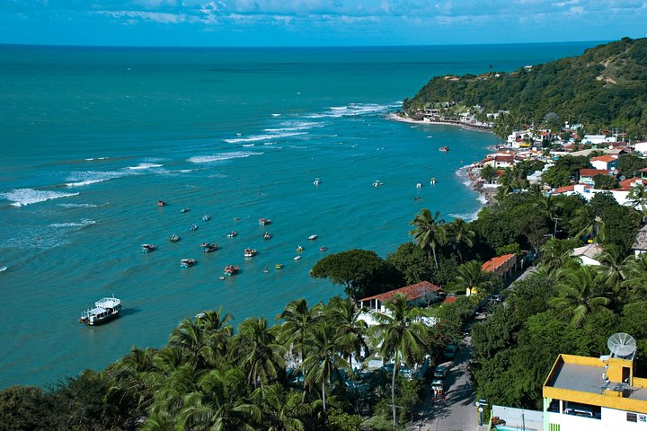 Sun and Fun at Pipa Beach: Day Tour from Natal