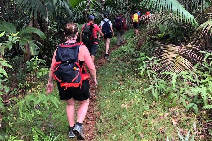 Explore Mare Aux Cochons Trail