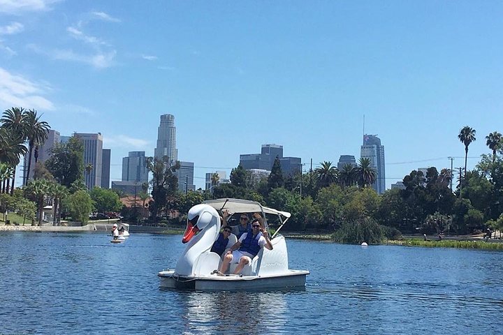 Swan Boat Rental in Echo Park