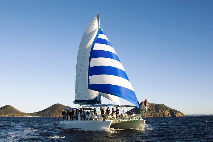 Port Stephens 3 Hour Whale and Dolphin Watch Cruise