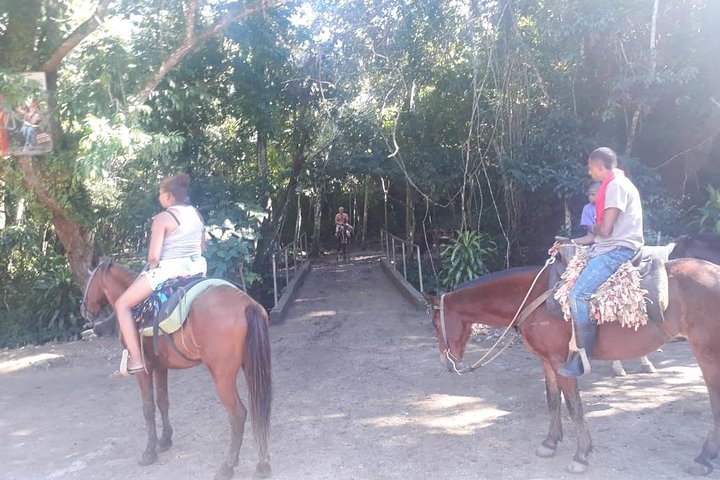 Samana Key Levantado Limon Waterfall Horse
