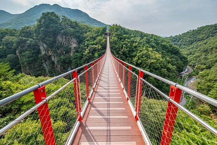 Best DMZ Tour Seoul: Defector Q&A, 3rd Tunnel & Suspension Bridge