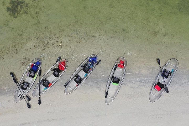 Clear Kayak Tour of Shell Key Preserve and Tampa Bay Area
