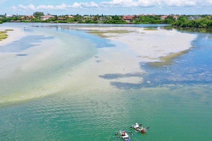 Clear Kayak Tour of Shell Key Preserve and Tampa Bay Area