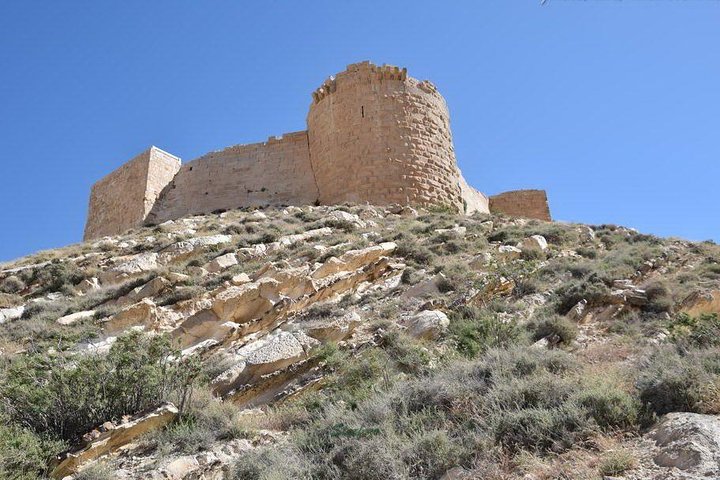 Private Transfer From Petra to Amman or Airport With Optional
