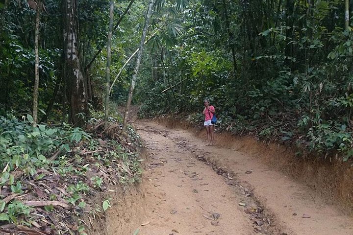 One Day Tour Khao Sok Cheow Lan Lake from Krabi