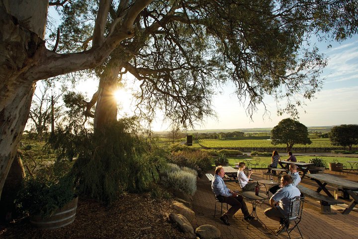 Barossa Valley Hop-On Hop-Off Wine Tour