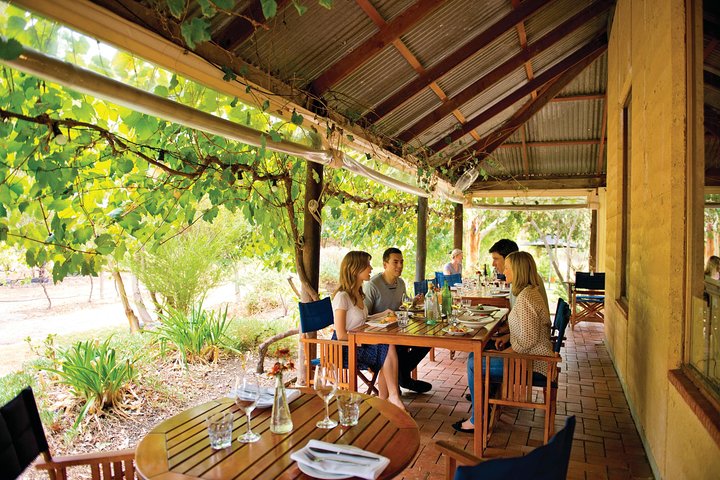 McLaren Vale North Hop-On Hop-Off Wine Tour