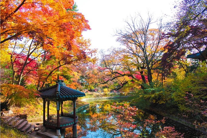 Small Group Seoul Highlight Tour opt. Hanbok & Tea Ceremony