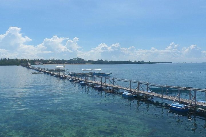 Mactan Cebu Island Hopping with Lunch - Gilutungan, Caohagan, Nalusuan