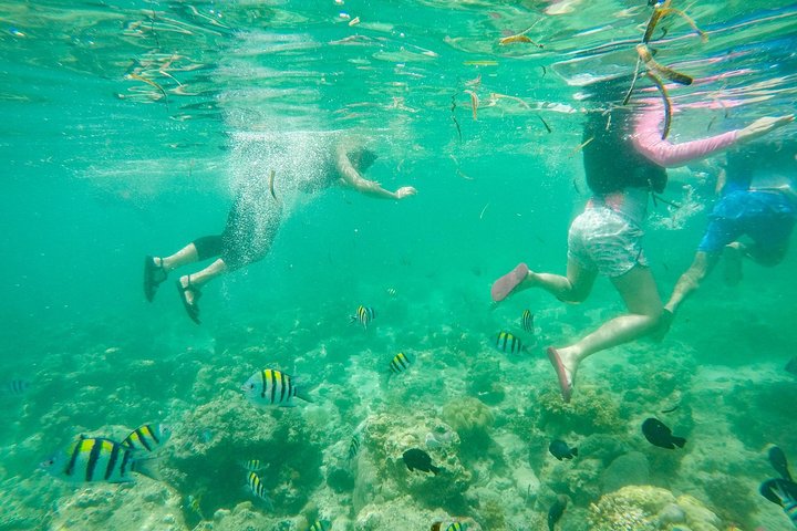Mactan Cebu Island Hopping with Lunch - Gilutungan, Caohagan, Nalusuan