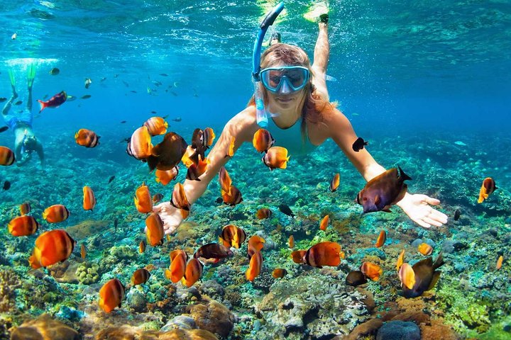 Mactan Cebu Island Hopping with Lunch - Gilutungan, Caohagan, Nalusuan