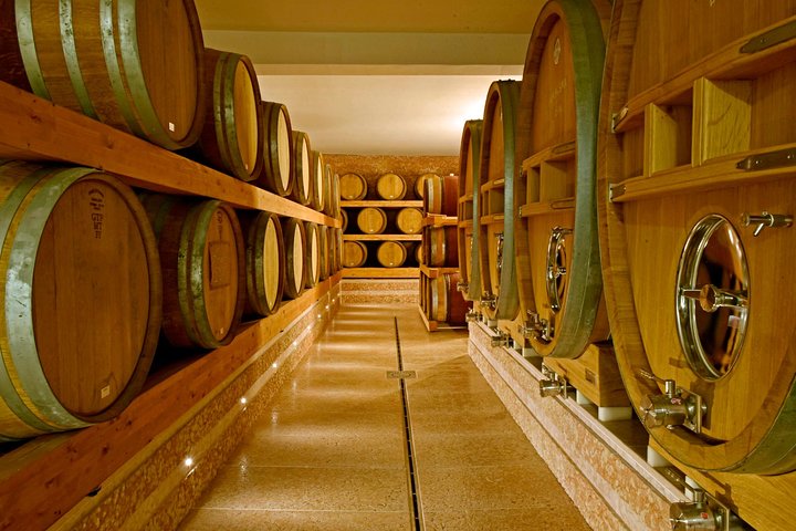 Grand tour of Valpolicella : Amarone focus, 2 Wineries and Lunch