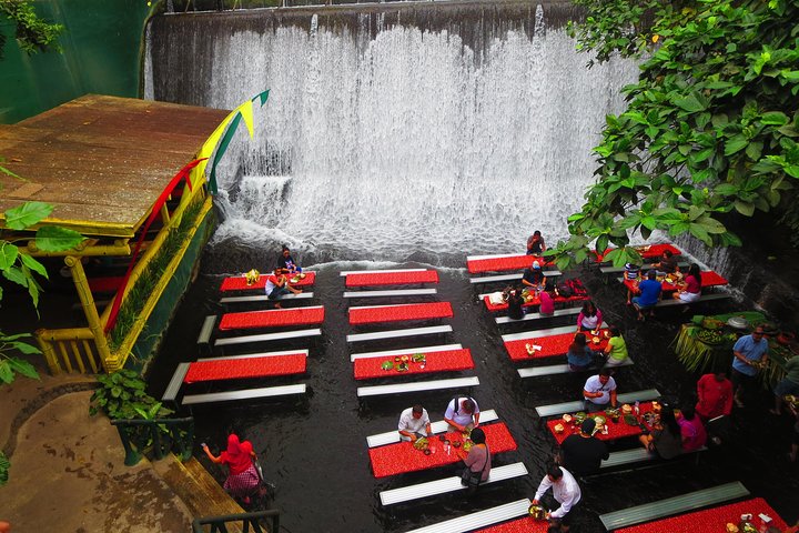 Immerse in Culture: Villa Escudero Coconut Plantation Experience