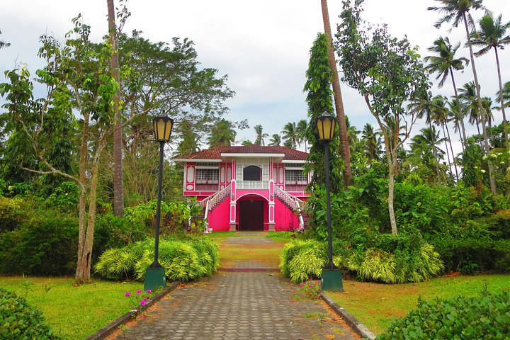 Immerse in Culture: Villa Escudero Coconut Plantation Experience