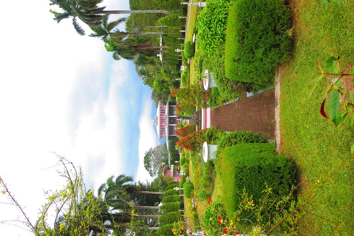 Immerse in Culture: Villa Escudero Coconut Plantation Experience