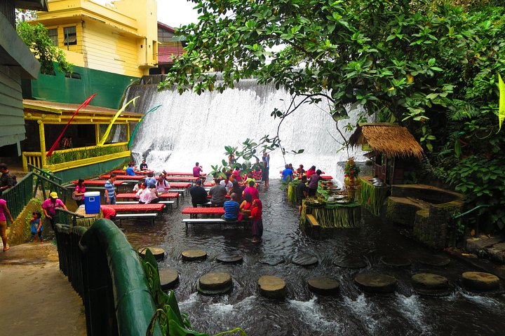 Immerse in Culture: Villa Escudero Coconut Plantation Experience
