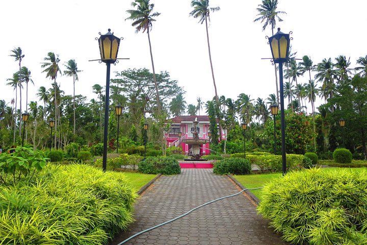 Immerse in Culture: Villa Escudero Coconut Plantation Experience