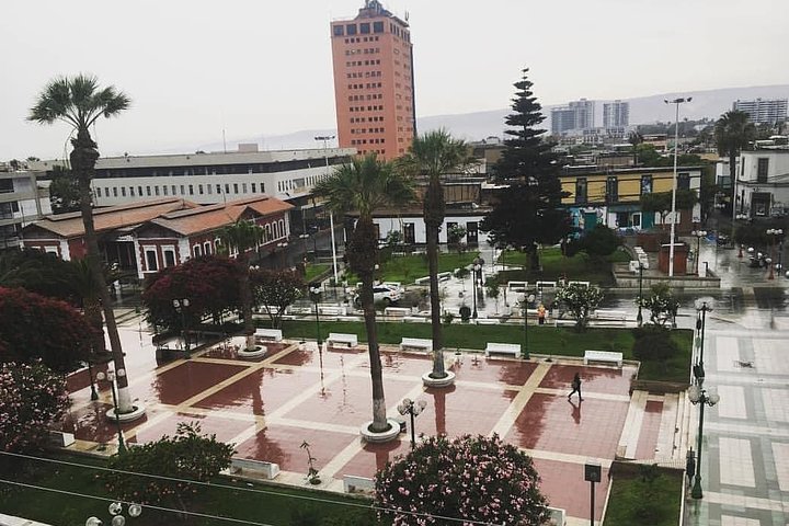Arica: Half day Panoramic City Tour
