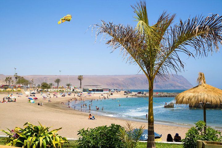 Arica: Half day Panoramic City Tour